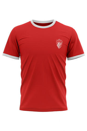 Liverpool football liver bird - liverpool,